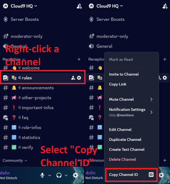 Screenshot, der das Kontextmenü eines Kanals mit hervorgehobenem Kanal-ID kopieren zeigt